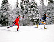 Bild vom Skigebiet Baiersbronn