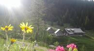 Kaltenbachalm - Sölkpass