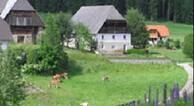 permaKURLTURis Urlaub am Bauernhof