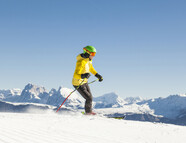 Bild vom Skigebiet Rittner Horn