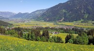 zur Vergrößerung klicken