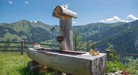 zur Vergrerung klicken