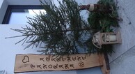 zur Vergrößerung klicken