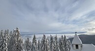 zur Vergrerung klicken