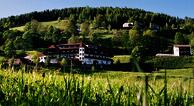 Hotel-Restaurant Stigenwirth