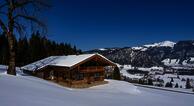 Kaiserwinkl Hütten "Panorama Lodge"
