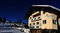 Alpenblume