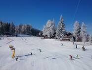 Bild vom Skigebiet Mönichkirchen-Mariensee