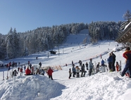 Bild vom Skigebiet Eck-Riedlstein