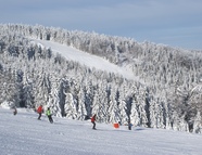 Bild vom Skigebiet Breitenau-Geißkopf - Bischofsmais