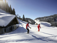 Bild vom Skigebiet Winklmoos-Steinplatte