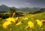 Bild von der Unterkunft