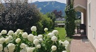 zur Vergrerung klicken