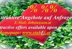 Bild von der Unterkunft