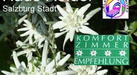 zur Vergrerung klicken