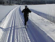 Bild vom Skigebiet Herzogsreut / Hinterschmiding