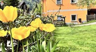 zur Vergrößerung klicken