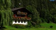 Ellmauhof