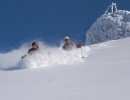 Bild vom Skigebiet Karwendel / Dammkar - Skiroute