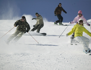 Bild vom Skigebiet Lermoos-Grubigstein