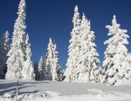 Bild vom Skigebiet Salzstiegl