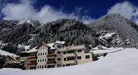 Alpenstern