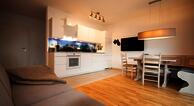 APPARTEMENT NEUALM SCHLADMING