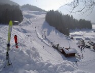 Bild vom Skigebiet Stoamandllift Stanzach