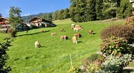 zur Vergrößerung klicken