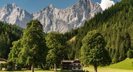 zur Vergrößerung klicken