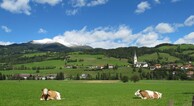 zur Vergrößerung klicken