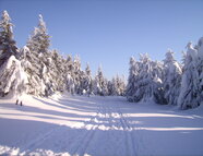 Bild vom Skigebiet Suhl / Suhl-Vesser / Suhl-Goldlauter