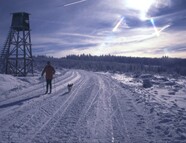 Bild vom Skigebiet Skizentrum Enzklösterle