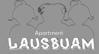 Apartment Lausbuam