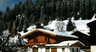 Appartement Wagnerh?usl