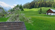 zur Vergrerung klicken