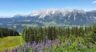 zur Vergrößerung klicken