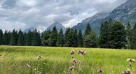 zur Vergrerung klicken
