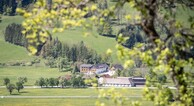 zur Vergrerung klicken