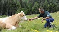zur Vergrerung klicken