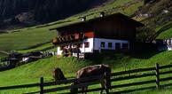 Urlaub auf der Alm