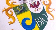 zur Vergrerung klicken