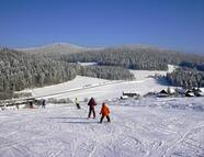 Bild vom Skigebiet Herzogsreut / Hinterschmiding