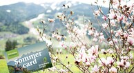 zur Vergrößerung klicken