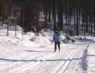 Bild vom Skigebiet Furth im Wald - Gibacht/Voithenberg