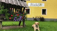 zur Vergrößerung klicken