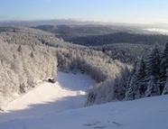 Bild vom Skigebiet Sportzentrum Ravensberg - Bad Sachsa