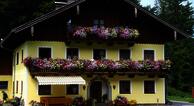 Pferdehof Almgut