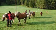 zur Vergrößerung klicken