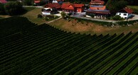 Urlaub am Weinhof Ramminger